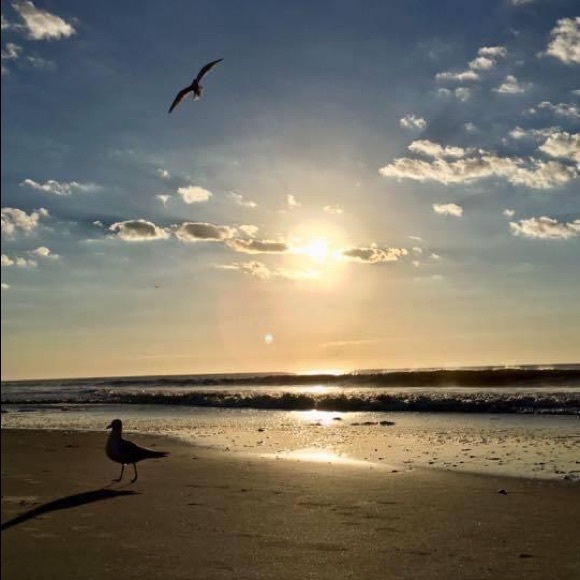 SAVE THE USA ~ SAVE FREEDOM OF RELIGION - Picture 4 of 6